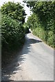 A Country Lane Snaking Uphill