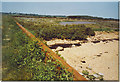 Sea Wall at Thistly Creek.