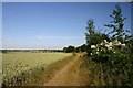 Bridleway to Stanningfield