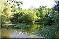 Duckpond at Coldham Hall