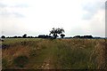 Bridleway to Boxted