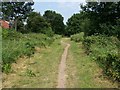 Disused Railway