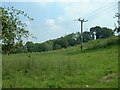 Farmland, looking towards the north end of Tower Wood