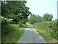 Road, at Nercwys Mountain