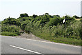 SU0823 : Start of Byway to Ox Drove on A354 by Peter Facey