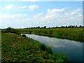 Looking Upriver from the Derwent Bridge