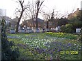 St Alfege Churchyard