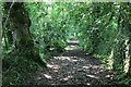 Footpath along the Tresillian River Valley