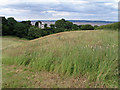 Pastureland near Bagillt, Flintshire