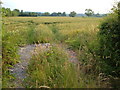 Wheatfield, Wrantage