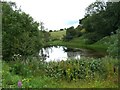 Pond below Latebrook House