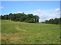 TQ4241 : Route of Sussex Border Path, near Upper Stonehurst Farm, Surrey by Dr Neil Clifton