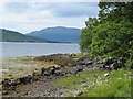 North shore of Loch Sunart