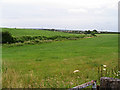 Farmland in Barnston