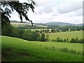 NT2238 : Farmland, Peeblesshire by Eileen Henderson