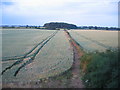 Site of Langley Ironstone Quarry