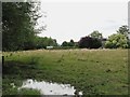 Field on the edge of Coulston