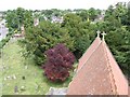 View from the Tower, St. Michael & All Angels