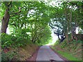 The lane from Knenhall to Stallington