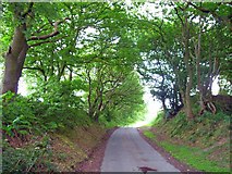 SJ9237 : The lane from Knenhall to Stallington by Oliver Dixon
