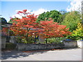 Seal Church of England Primary School in Autumn