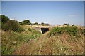 Cliff Beck Bridge