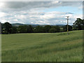 Farmland, Strageath