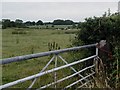 Shropshire field: view with gate