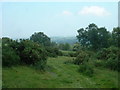 Farmland, looking towards Buckley