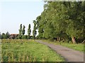 Bridleway at Ashton Mill Farm