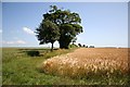 Farmland near Mog