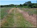 Wyrley Common looking West