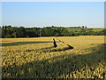 View from the footpath to Mollington