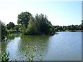 Moreton Fisheries, Main Lake