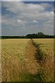 Footpath to Lambfair Green