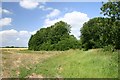 Cycle way to Lambfair Green