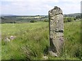 Standing stone at Aghascrebagh