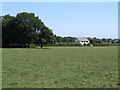 Grazing field, Alltami