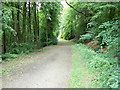 President Kennedy Driveway