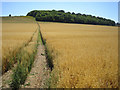 Lilley Bottom: Footpath to Tea Green