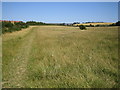 Stopsley Common