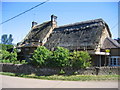 Thatching in Chacombe