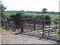 Cattle pens and technology