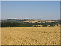 View towards Cropredy