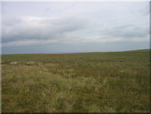 NY8153 : Moorland between Allendale and Carrshield by Les Hull