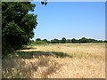 Farmland off the A63