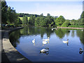 Gunknowe Loch