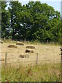 Harvest at Salmonsbridge Farm.