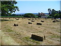 Harvest near Manor of Dean.