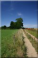 Footpath to Gosland Green